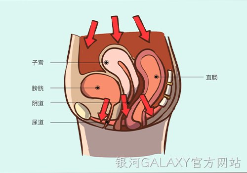 助力女性盆底功能健康发展，银河GALAXY官方网站推出高频评估电灼仪